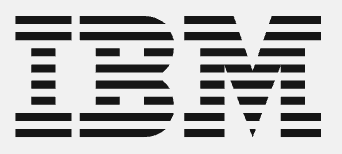 IBM logo
